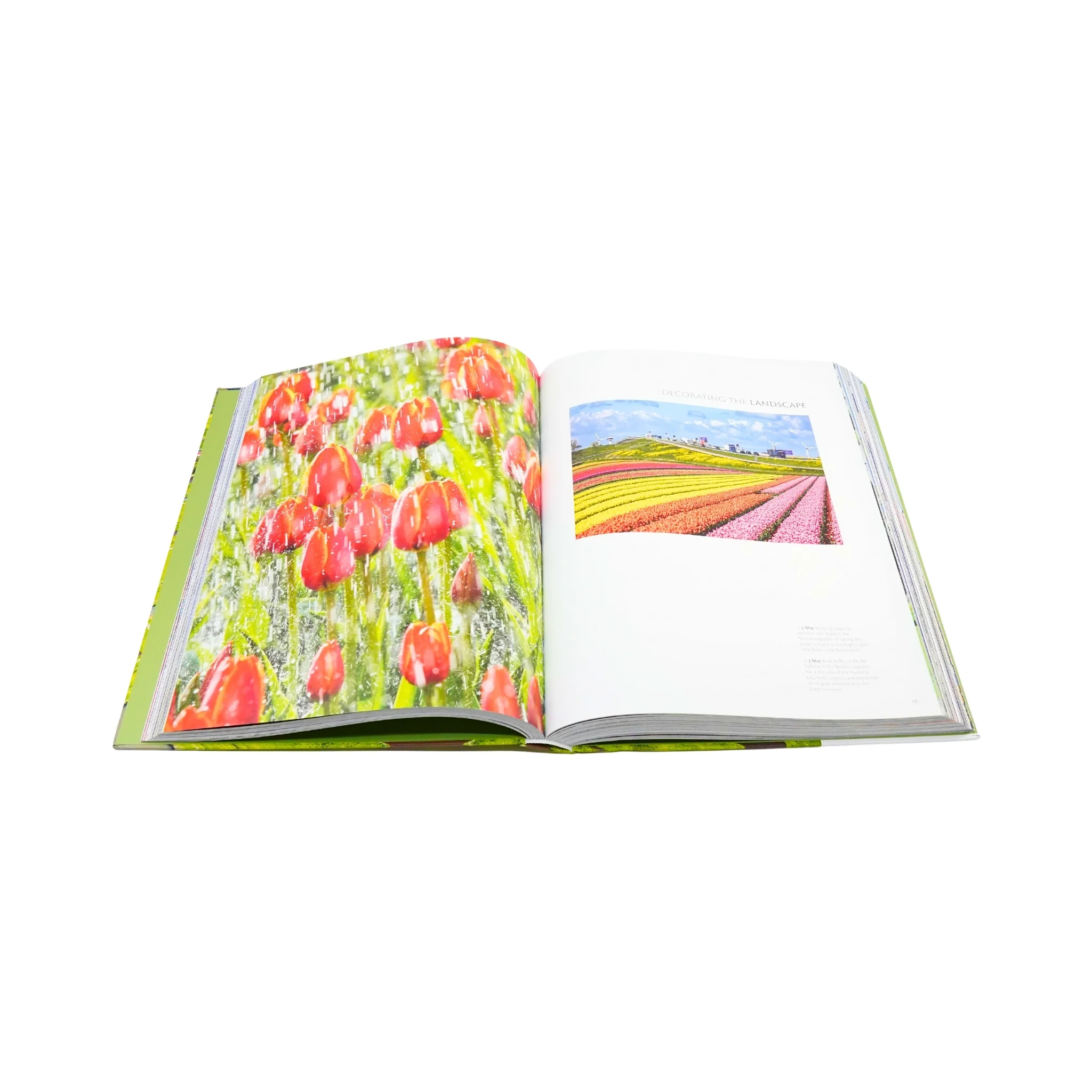 NL 365 A Year in the Netherlands Coffee Table Book of Pictures - Image 11
